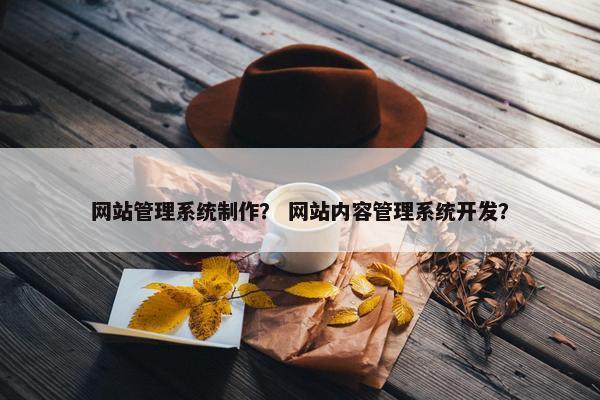 网站管理系统制作？ 网站内容管理系统开发？