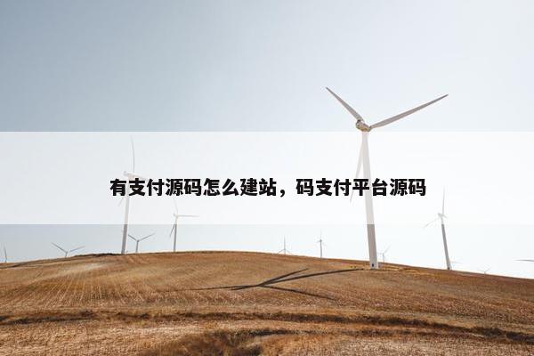 有支付源码怎么建站，码支付平台源码