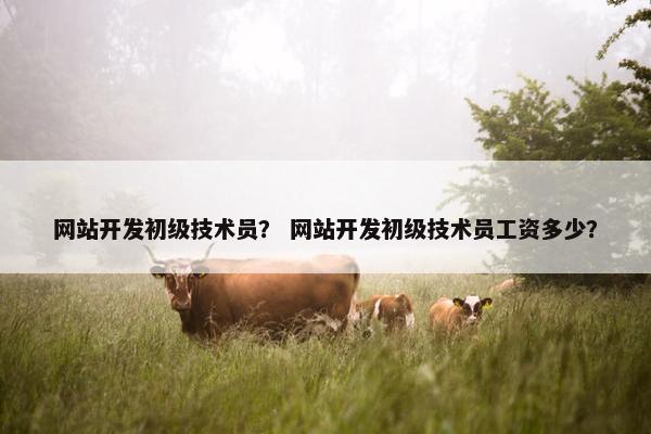 网站开发初级技术员？ 网站开发初级技术员工资多少？