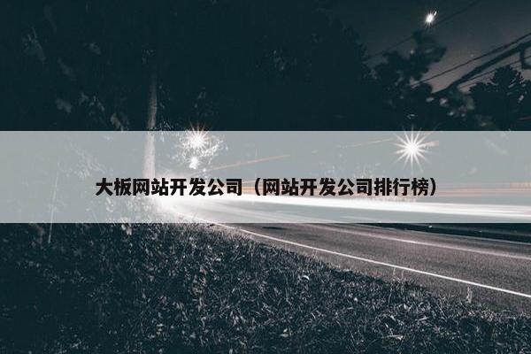 大板网站开发公司（网站开发公司排行榜）