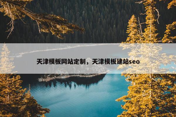 天津模板网站定制，天津模板建站seo