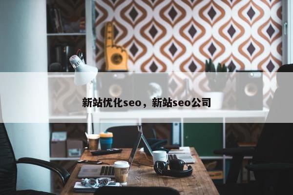 新站优化seo，新站seo公司