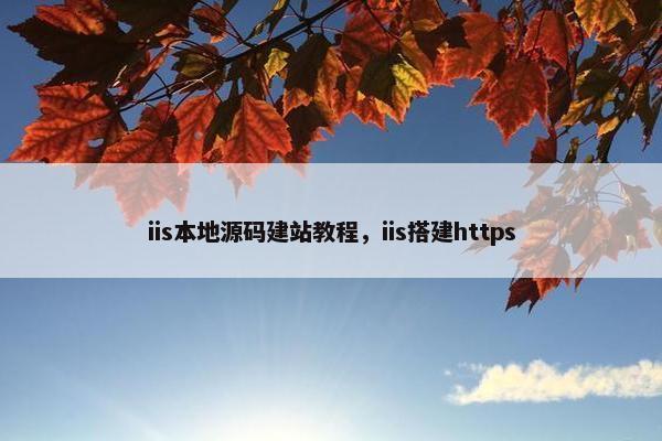 iis本地源码建站教程，iis搭建https