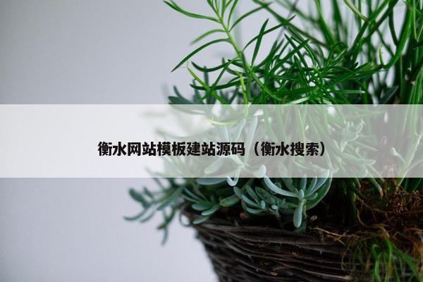 衡水网站模板建站源码（衡水搜索）