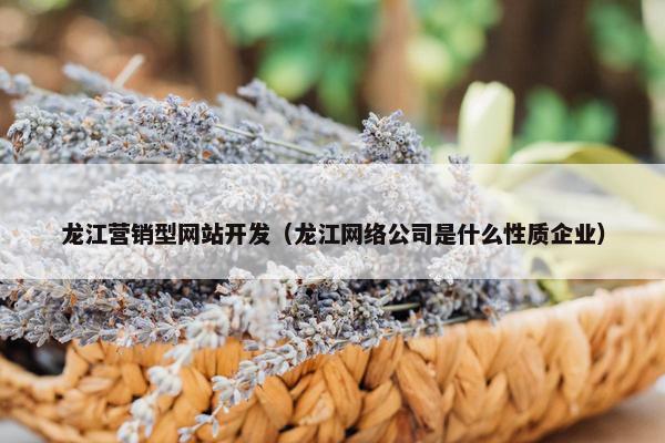 龙江营销型网站开发（龙江网络公司是什么性质企业）