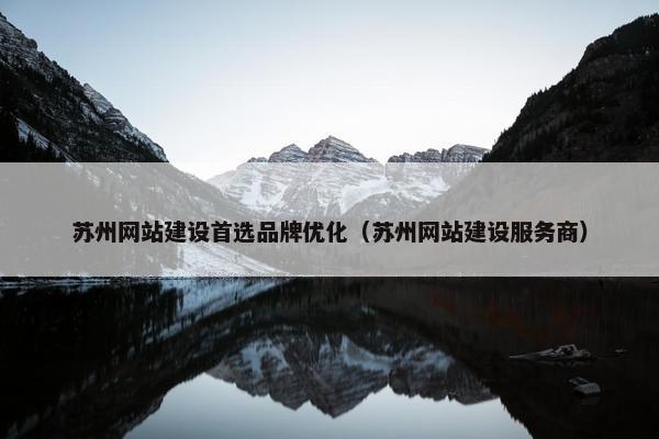 苏州网站建设首选品牌优化（苏州网站建设服务商）
