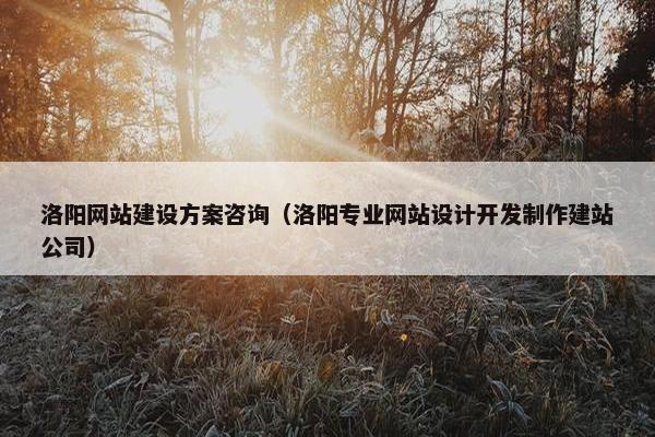 洛阳网站建设方案咨询（洛阳专业网站设计开发制作建站公司）