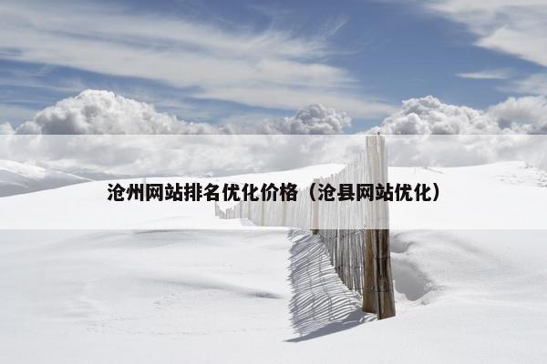 沧州网站排名优化价格（沧县网站优化）