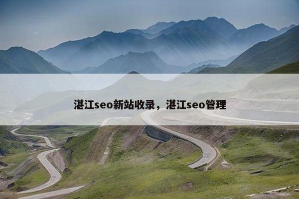 湛江seo新站收录，湛江seo管理