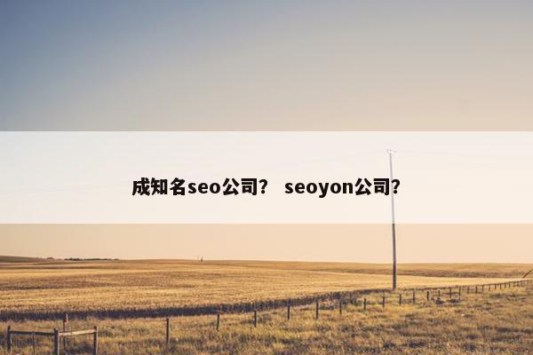成知名seo公司？ seoyon公司？