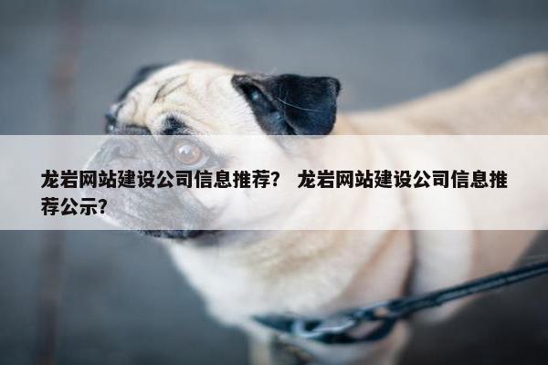 龙岩网站建设公司信息推荐？ 龙岩网站建设公司信息推荐公示？