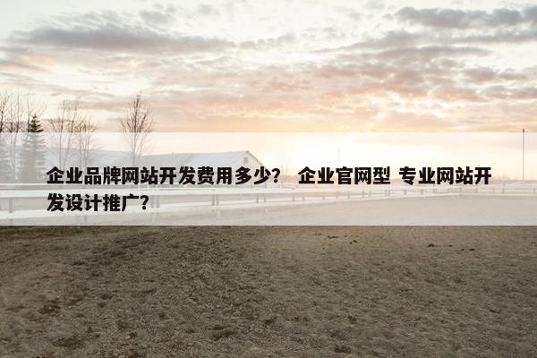企业品牌网站开发费用多少？ 企业官网型 专业网站开发设计推广？