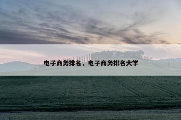 电子商务排名，电子商务排名大学