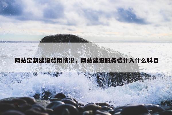 网站定制建设费用情况，网站建设服务费计入什么科目