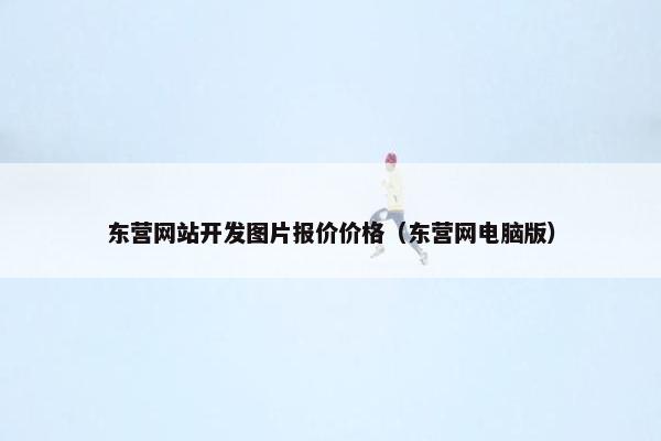东营网站开发图片报价价格（东营网电脑版）