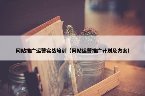 网站推广运营实战培训（网站运营推广计划及方案）