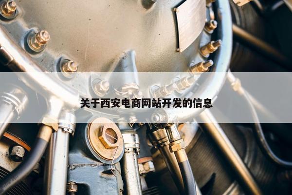 关于西安电商网站开发的信息