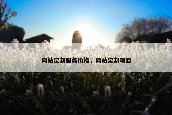 网站定制服务价格，网站定制项目