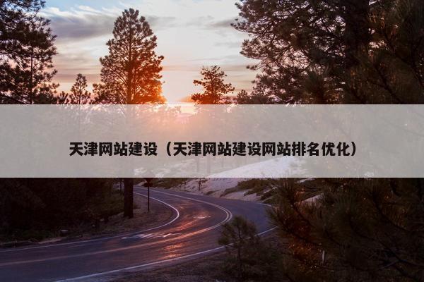 天津网站建设（天津网站建设网站排名优化）