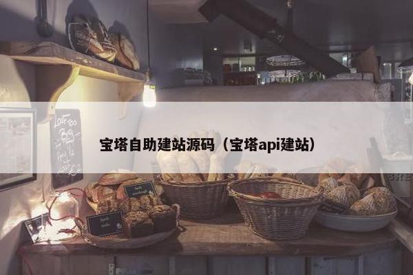 宝塔自助建站源码（宝塔api建站）