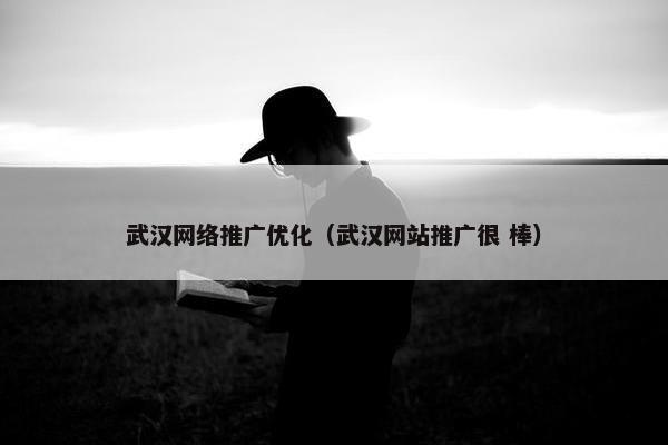 武汉网络推广优化（武汉网站推广很 棒）