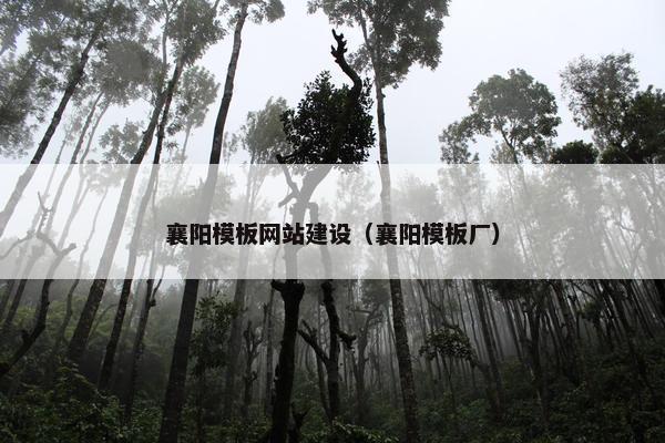襄阳模板网站建设（襄阳模板厂）
