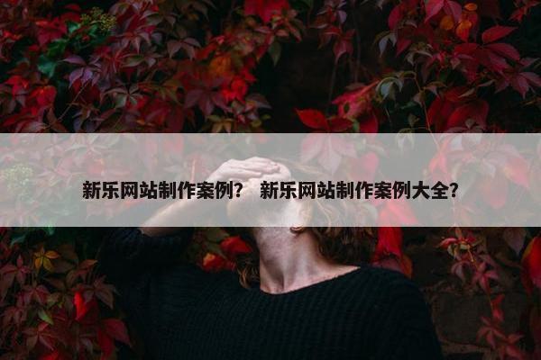 新乐网站制作案例？ 新乐网站制作案例大全？