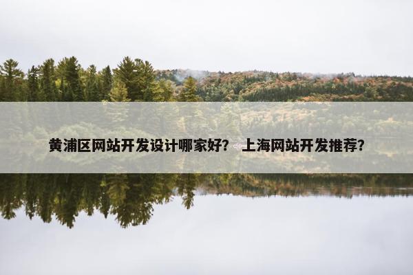 黄浦区网站开发设计哪家好？ 上海网站开发推荐？