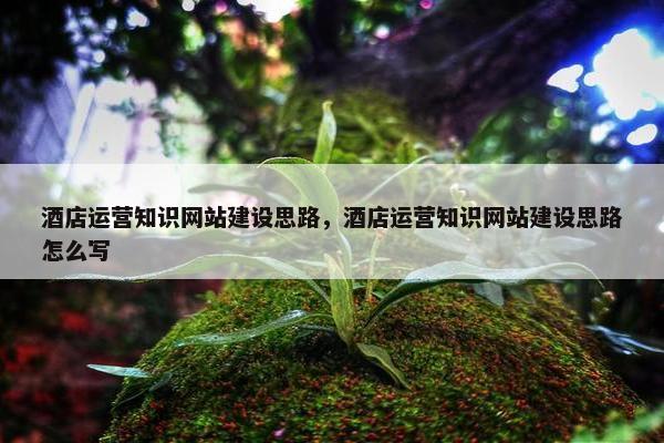酒店运营知识网站建设思路，酒店运营知识网站建设思路怎么写