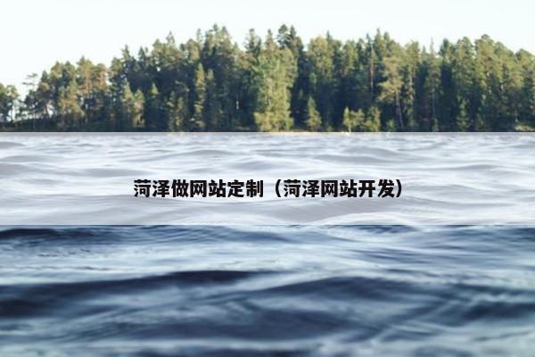 菏泽做网站定制（菏泽网站开发）