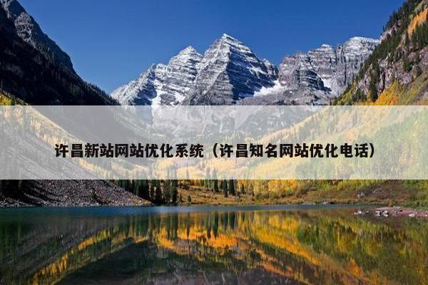 许昌新站网站优化系统（许昌知名网站优化电话）