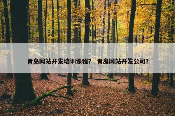 青岛网站开发培训课程？ 青岛网站开发公司？