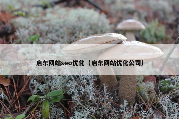 启东网站seo优化（启东网站优化公司）