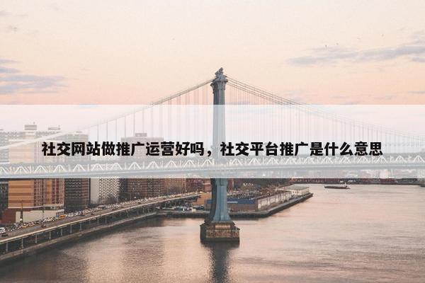 社交网站做推广运营好吗，社交平台推广是什么意思