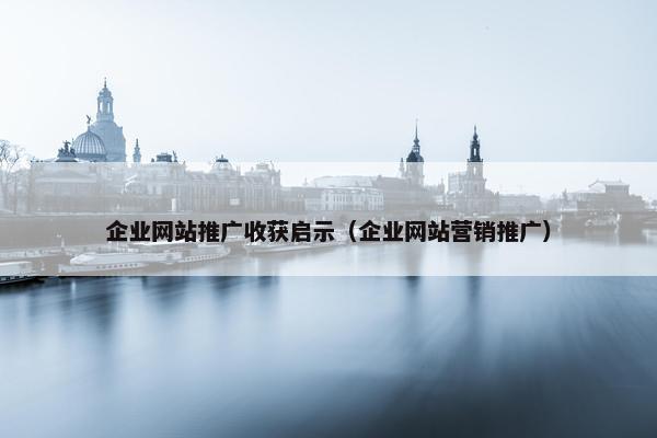 企业网站推广收获启示（企业网站营销推广）