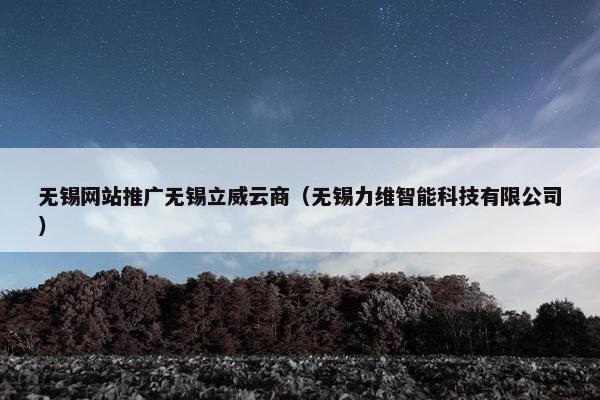无锡网站推广无锡立威云商（无锡力维智能科技有限公司）