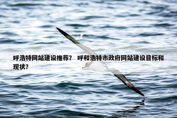 呼浩特网站建设推荐？ 呼和浩特市政府网站建设目标和现状？
