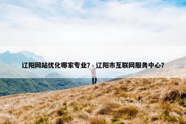 辽阳网站优化哪家专业？ 辽阳市互联网服务中心？