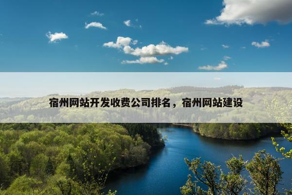 宿州网站开发收费公司排名，宿州网站建设