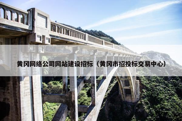 黄冈网络公司网站建设招标（黄冈市招投标交易中心）