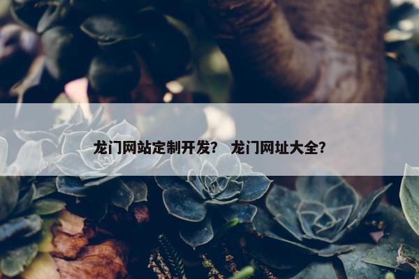 龙门网站定制开发？ 龙门网址大全？