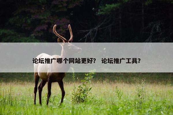 论坛推广哪个网站更好？ 论坛推广工具？