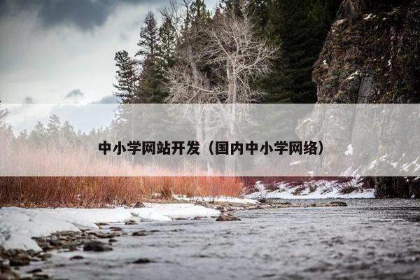 中小学网站开发（国内中小学网络）