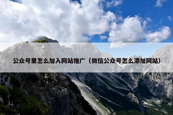 公众号里怎么加入网站推广（微信公众号怎么添加网站）