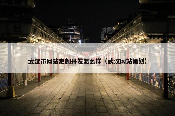 武汉市网站定制开发怎么样（武汉网站策划）