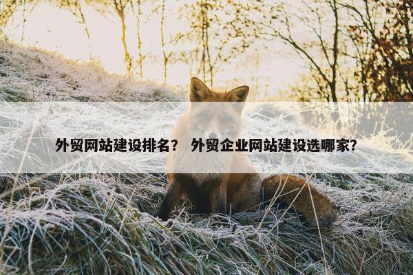 外贸网站建设排名？ 外贸企业网站建设选哪家？