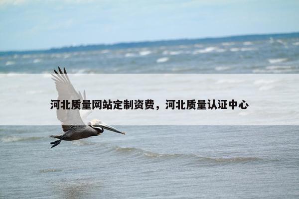 河北质量网站定制资费，河北质量认证中心