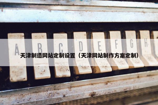 天津制造网站定制设置（天津网站制作方案定制）