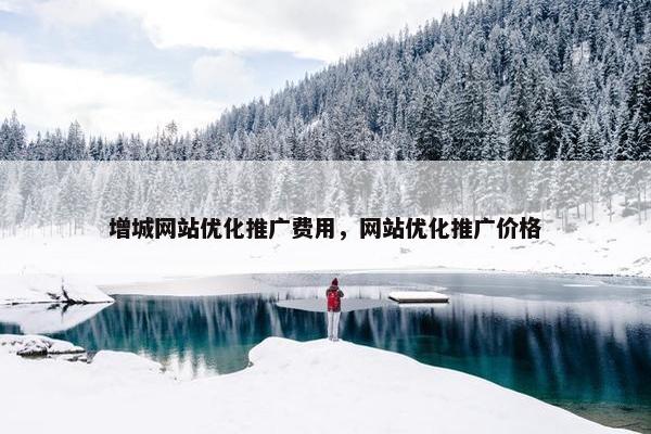 增城网站优化推广费用，网站优化推广价格