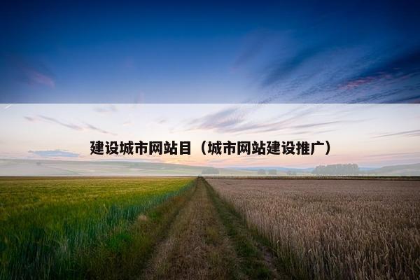 建设城市网站目（城市网站建设推广）